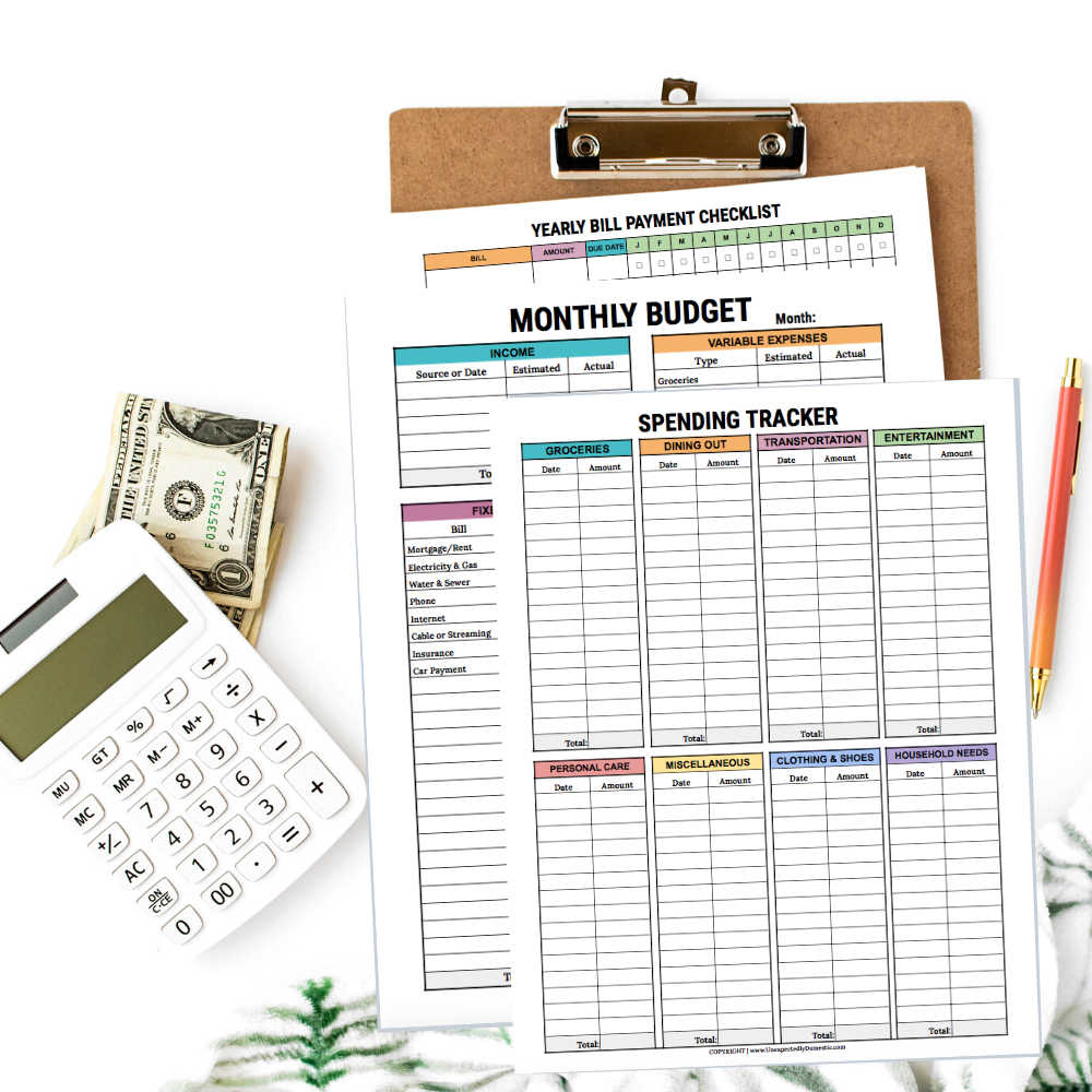 Easy Budget Planner - SPECIAL OFFER